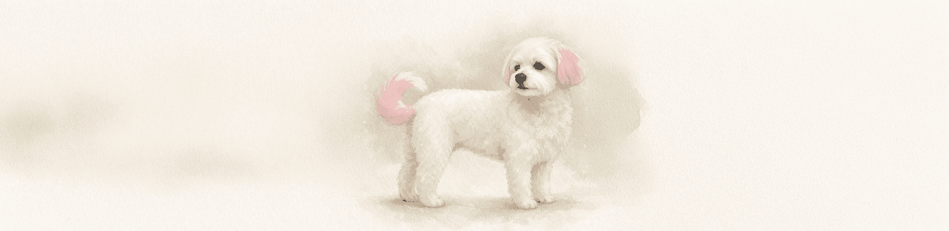 OPAW Color Accent — pet-safe color styling